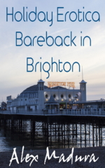 Holiday Erotica - Book 5 - Bareback in Brighton