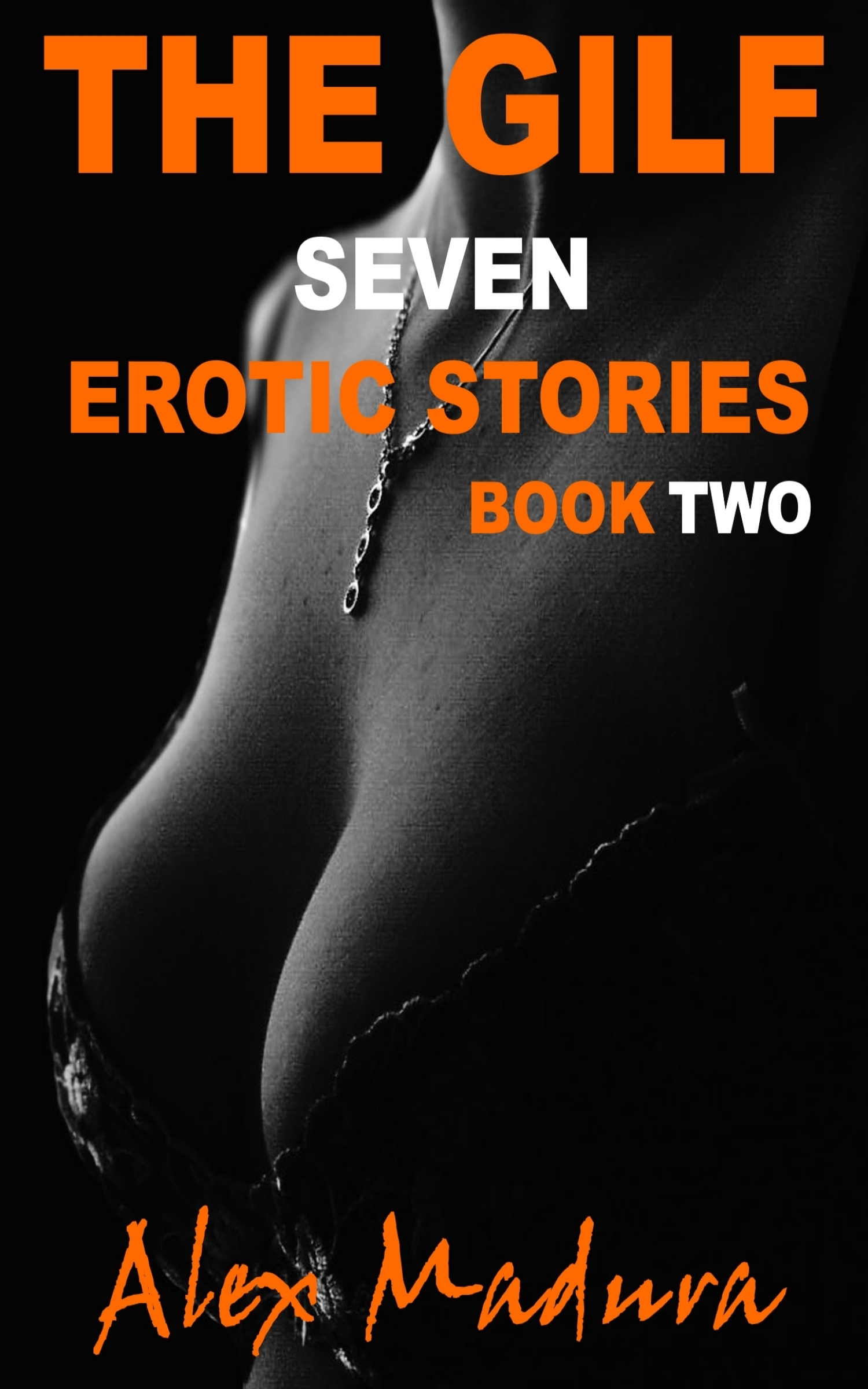 The GILF - Book 2 - Seven Erotic Stories